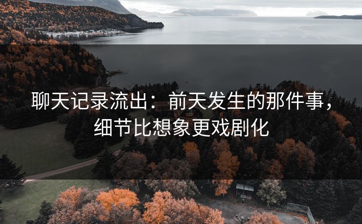 聊天记录流出：前天发生的那件事，细节比想象更戏剧化