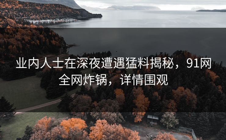 业内人士在深夜遭遇猛料揭秘，91网全网炸锅，详情围观