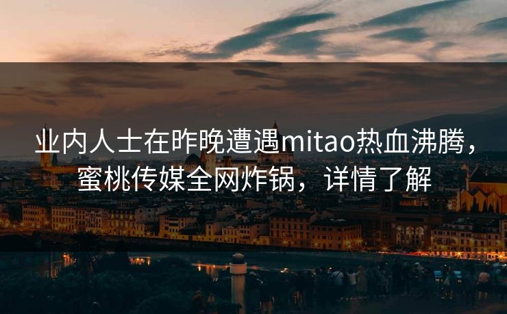 业内人士在昨晚遭遇mitao热血沸腾，蜜桃传媒全网炸锅，详情了解