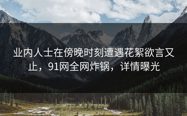 业内人士在傍晚时刻遭遇花絮欲言又止，91网全网炸锅，详情曝光